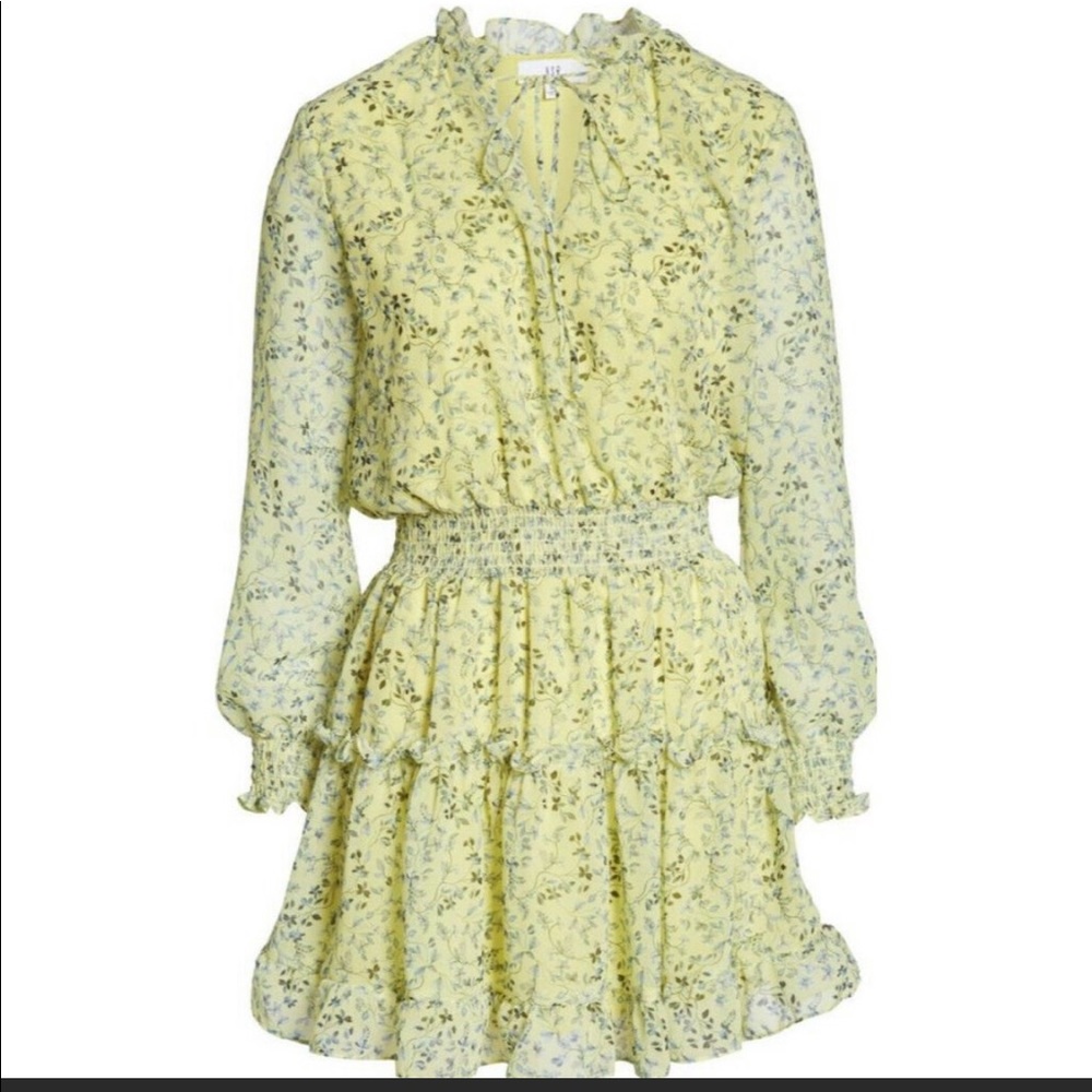 NSR Emma Floral Print Ruffle Dress - size XL. Summer dress. Sun dress.